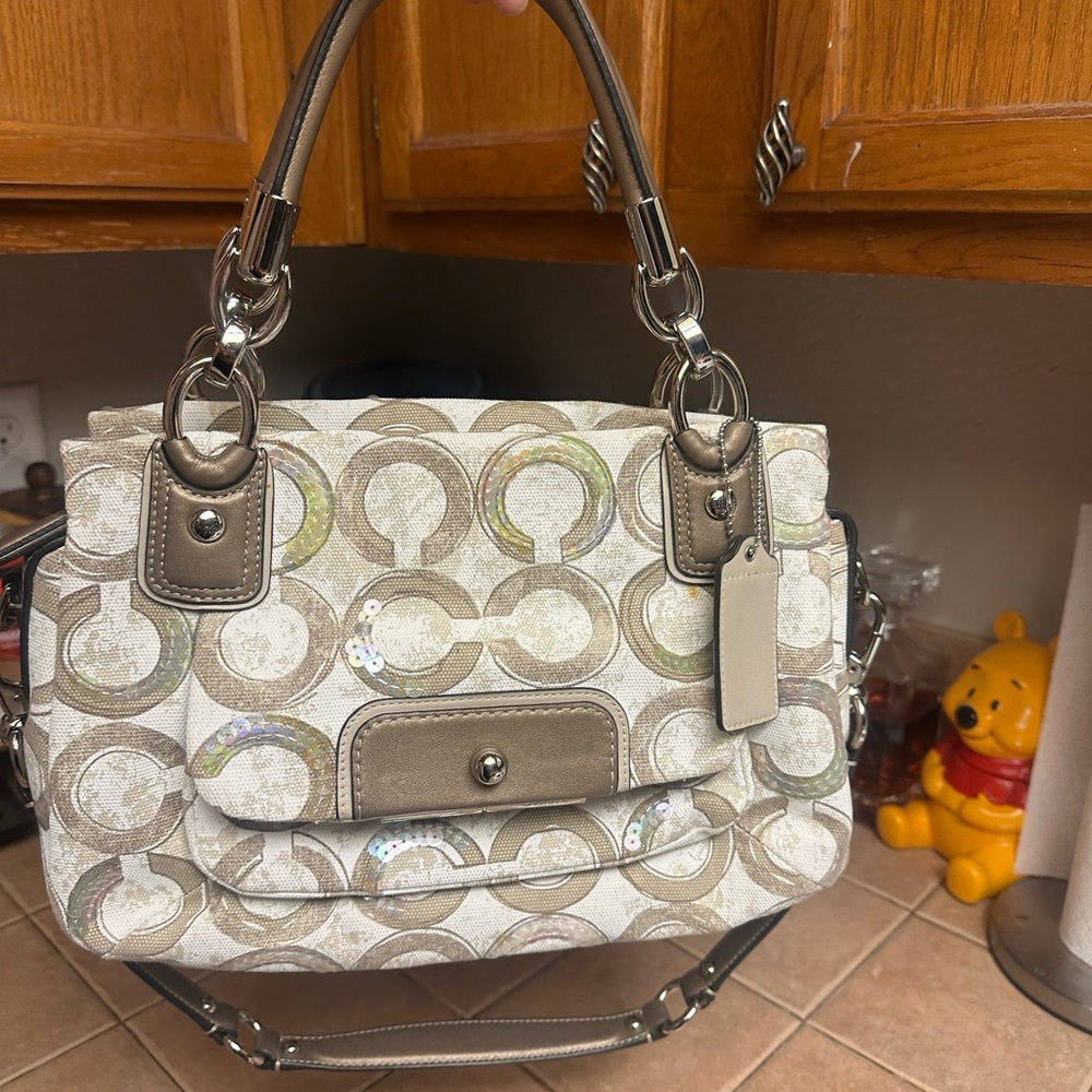Coach Sequin Bag
